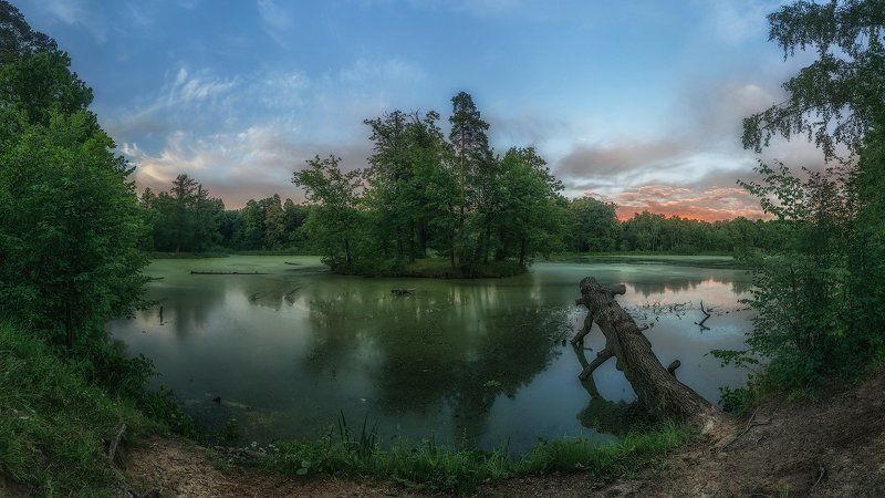 озеро москва подмосковье северный пруд Лесное озеро фото превью