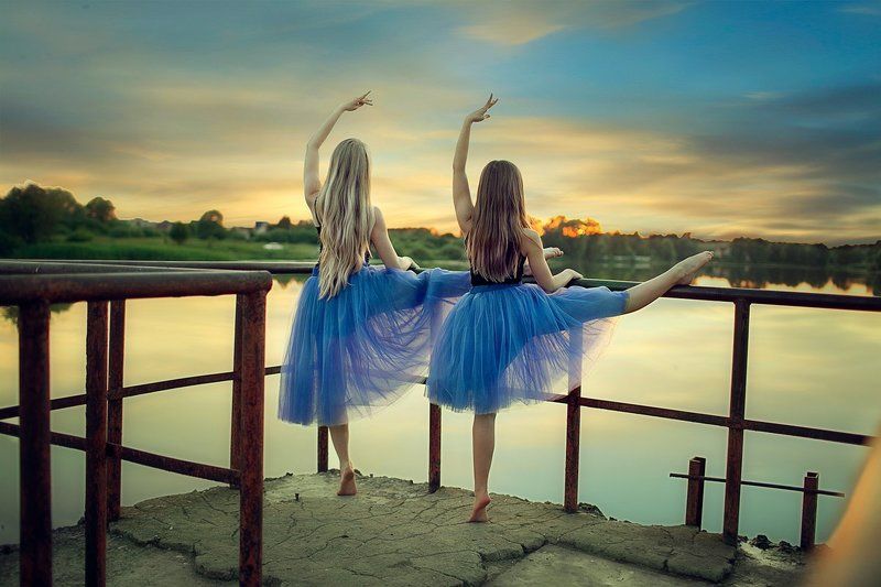 Лебеди фото превью