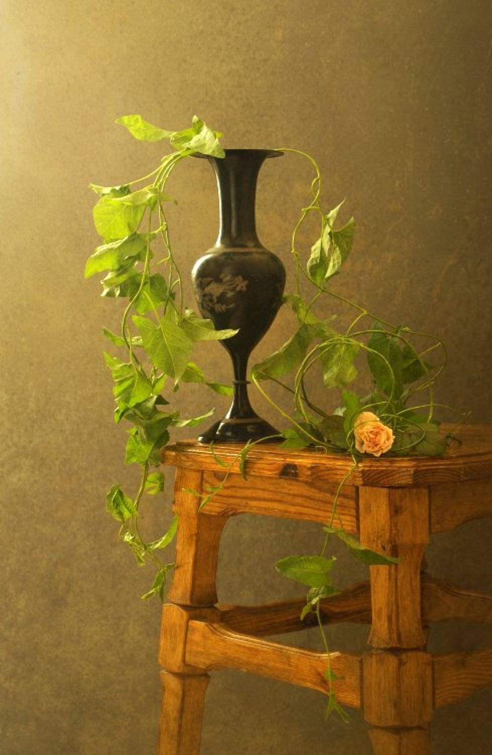 , Марина Погодаева