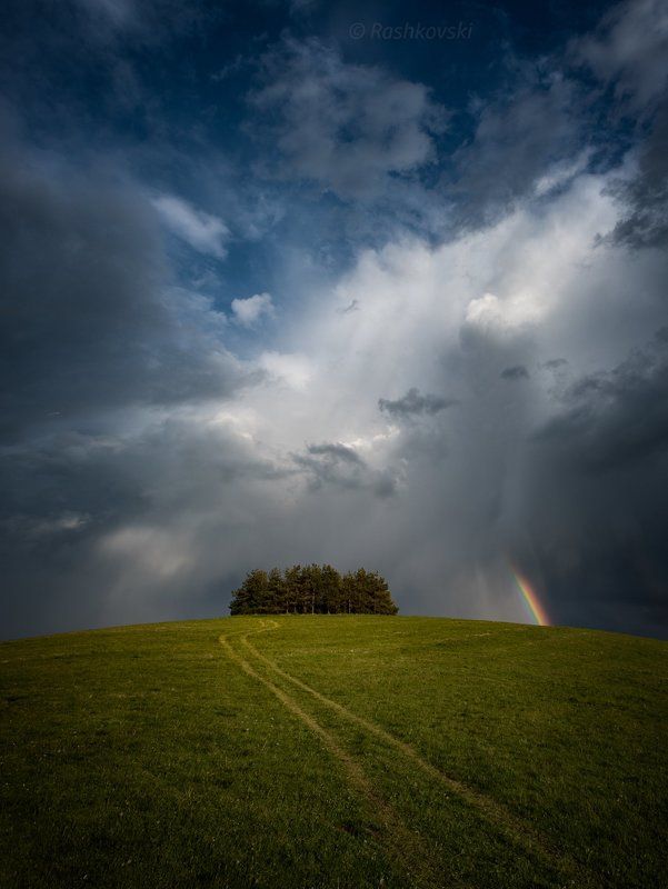Spring dynamics