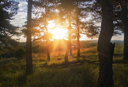 Утренняя тишина