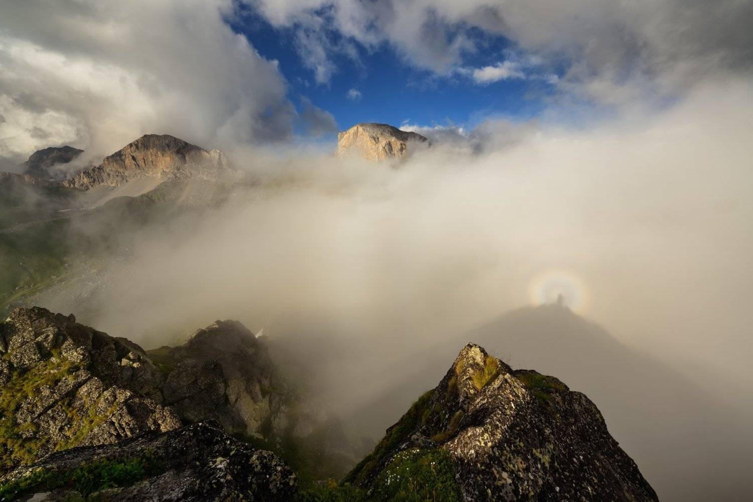 , Максим Евдокимов ( www.wildphotorus.ru )