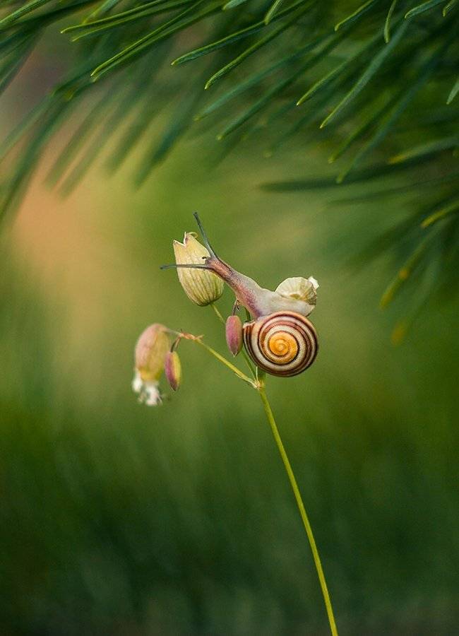 , Pawel Plucinski