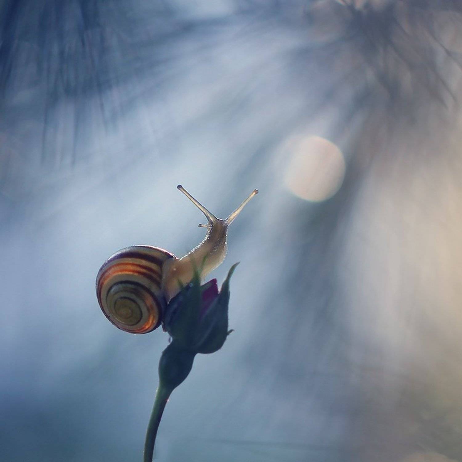 , Pawel Plucinski