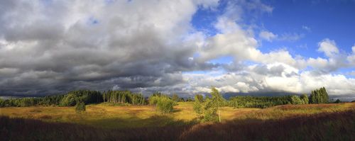 Русский пейзаж )