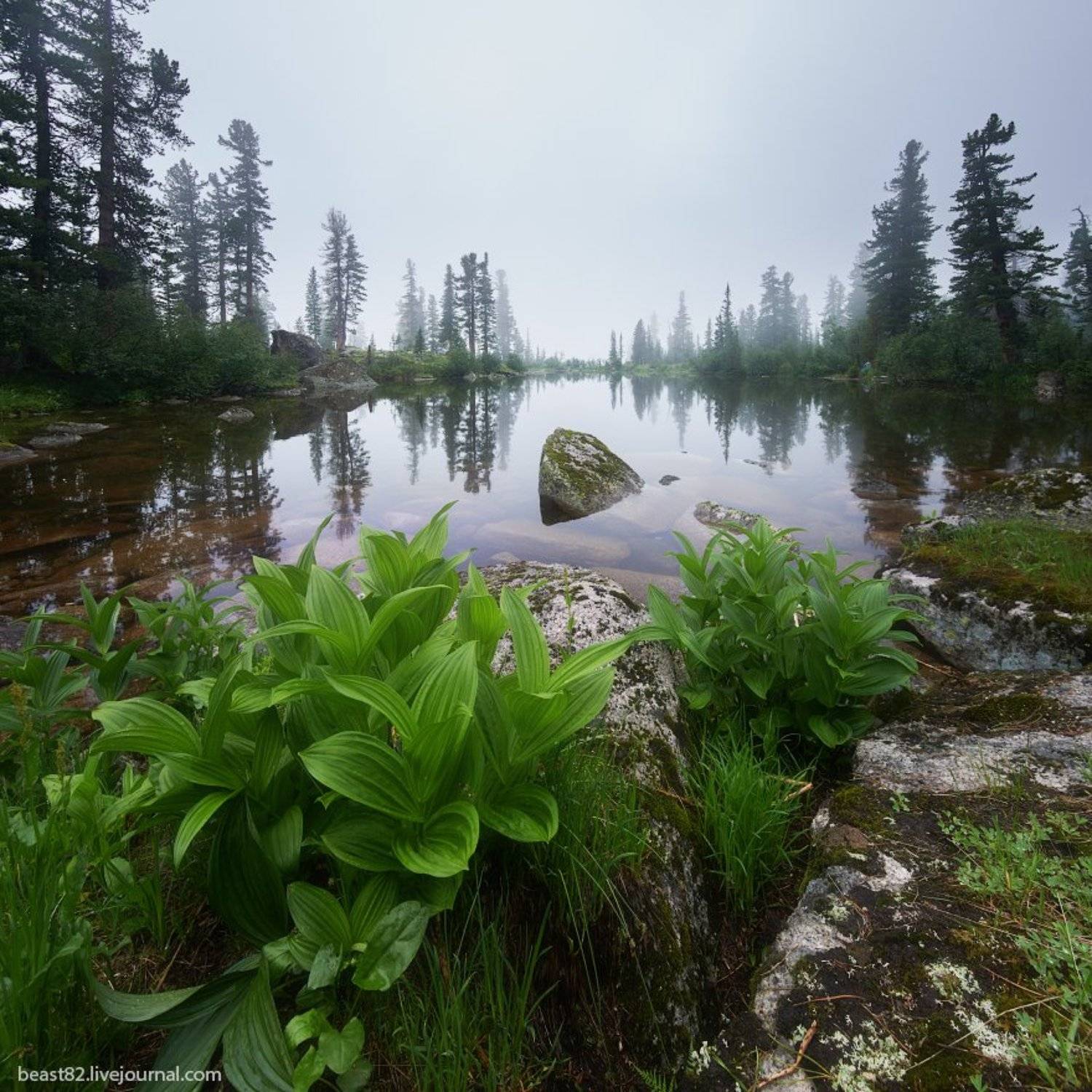 Ергаки, Михаил Зверев