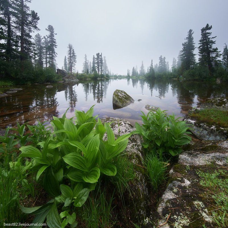 Ергаки *** фото превью