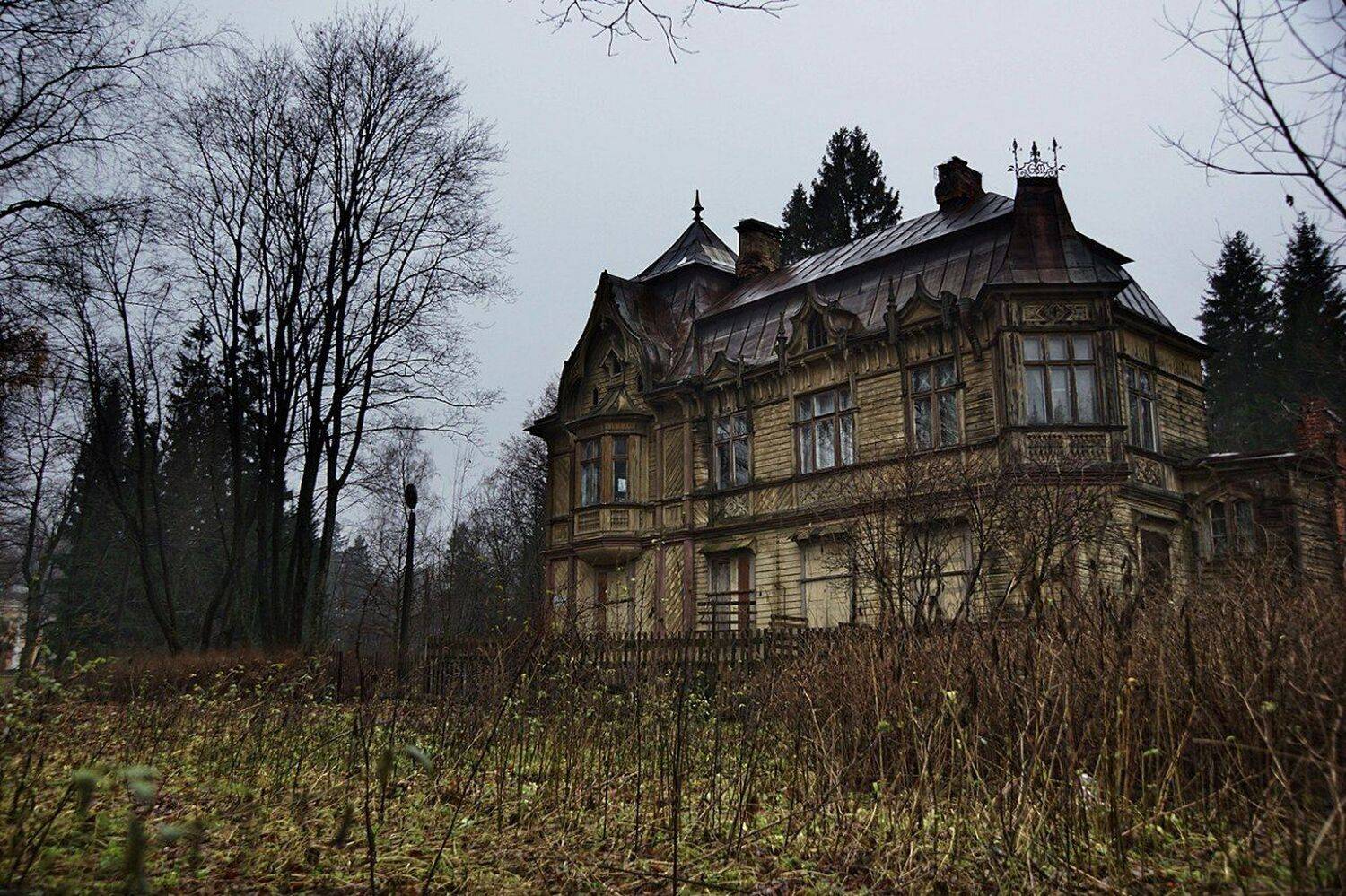 , Петр Косых