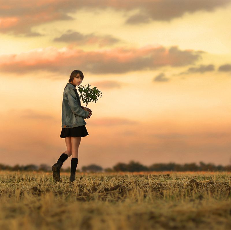 фото превью