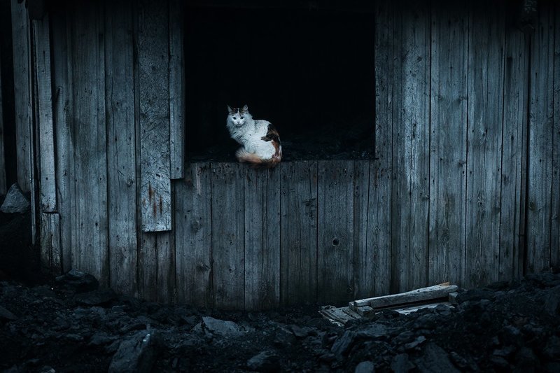 Хозяин угля фото превью