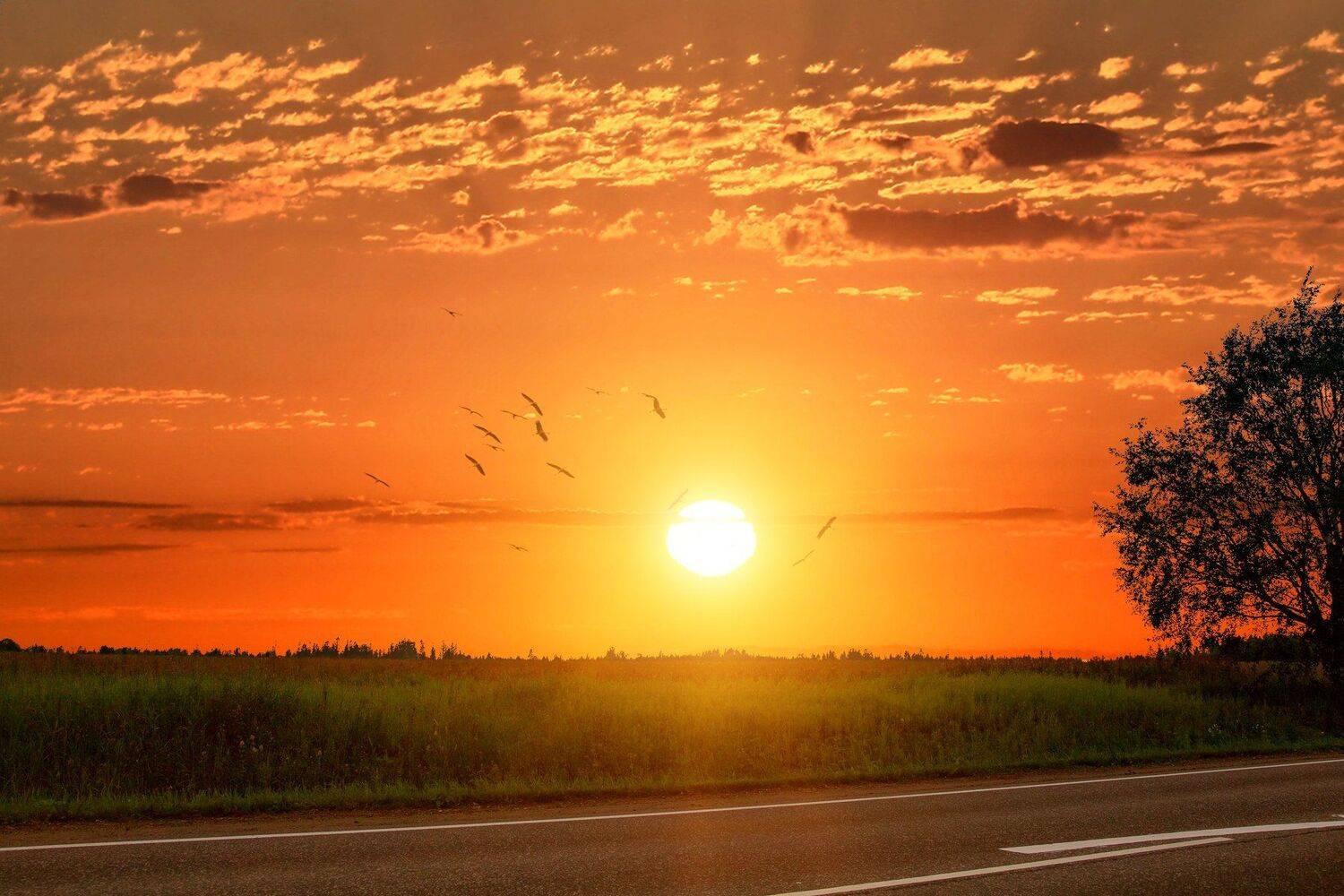 , Андрей Михайлов