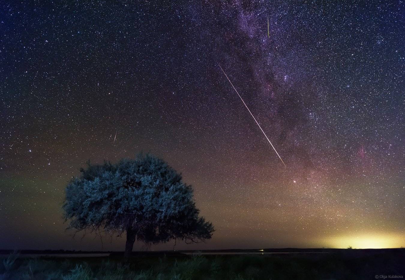 Дерево, Звездная ночь, Звездное небо, Звезды, Метеор, Млечный путь, Персеиды, Ольга Кулакова