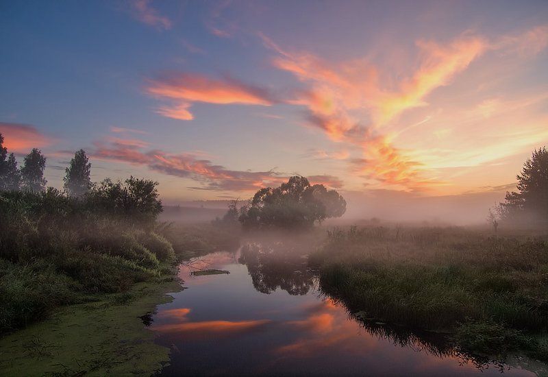 В ожидании солнца фото превью