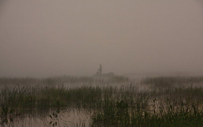 утро, вода, река, туман Утро туманное... фото превью