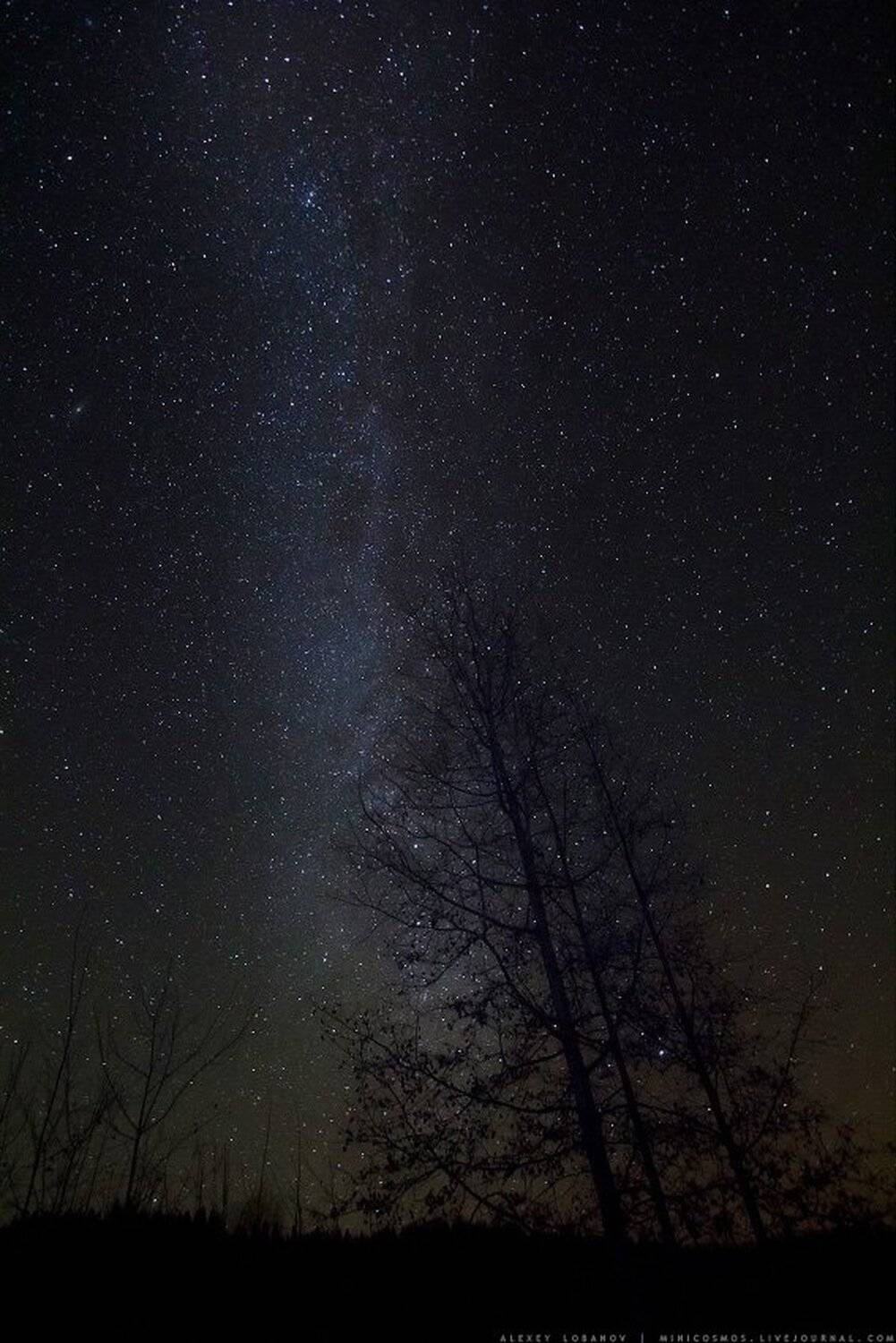 , Алексей Лобанов