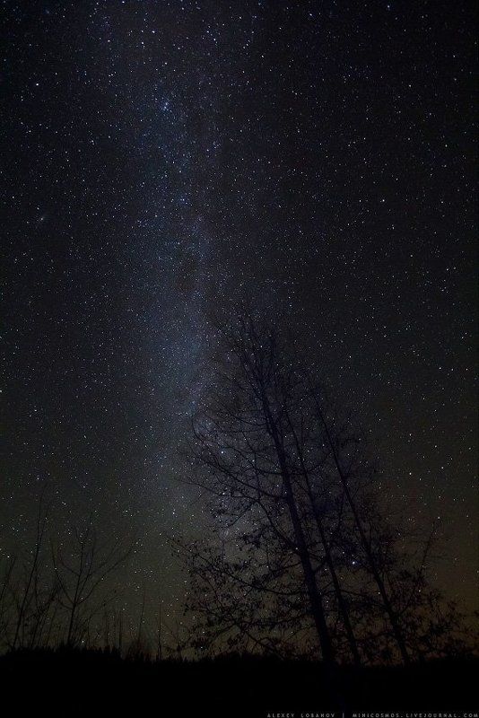 Milky фото превью