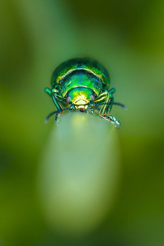 Go away фото превью