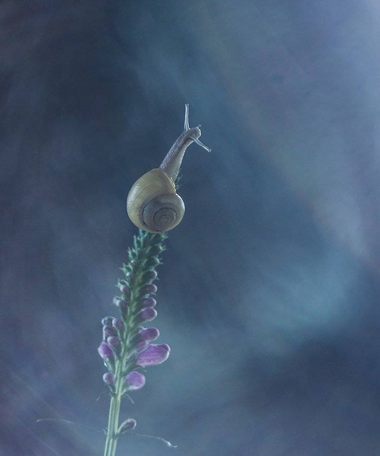 , Pawel Plucinski