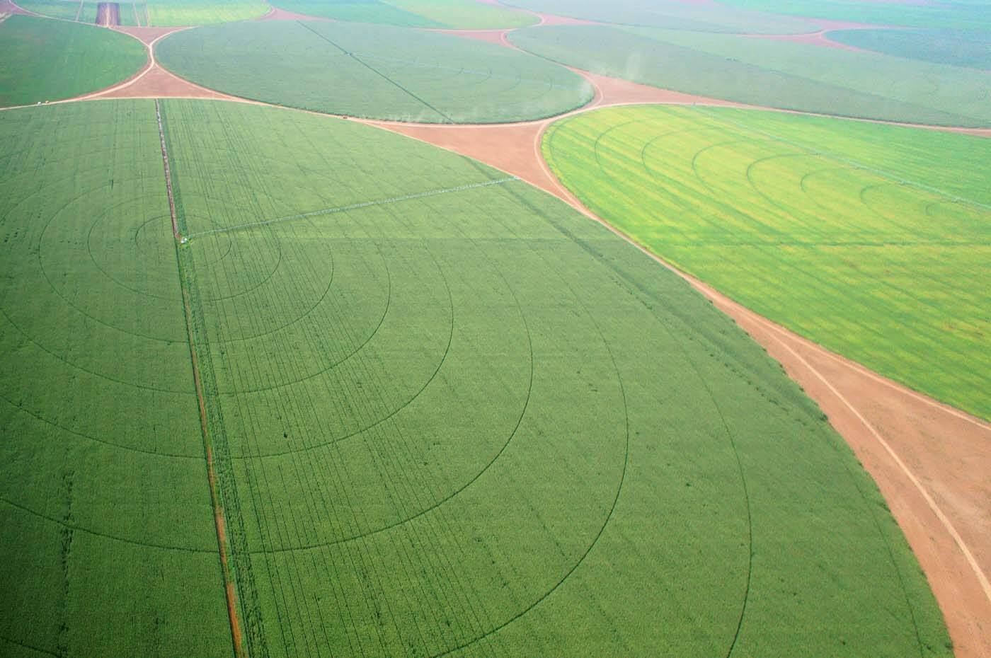 поля, орошение, сельское хозяйство, агро, аэро, aerial, aero geo art, Борис Резванцев