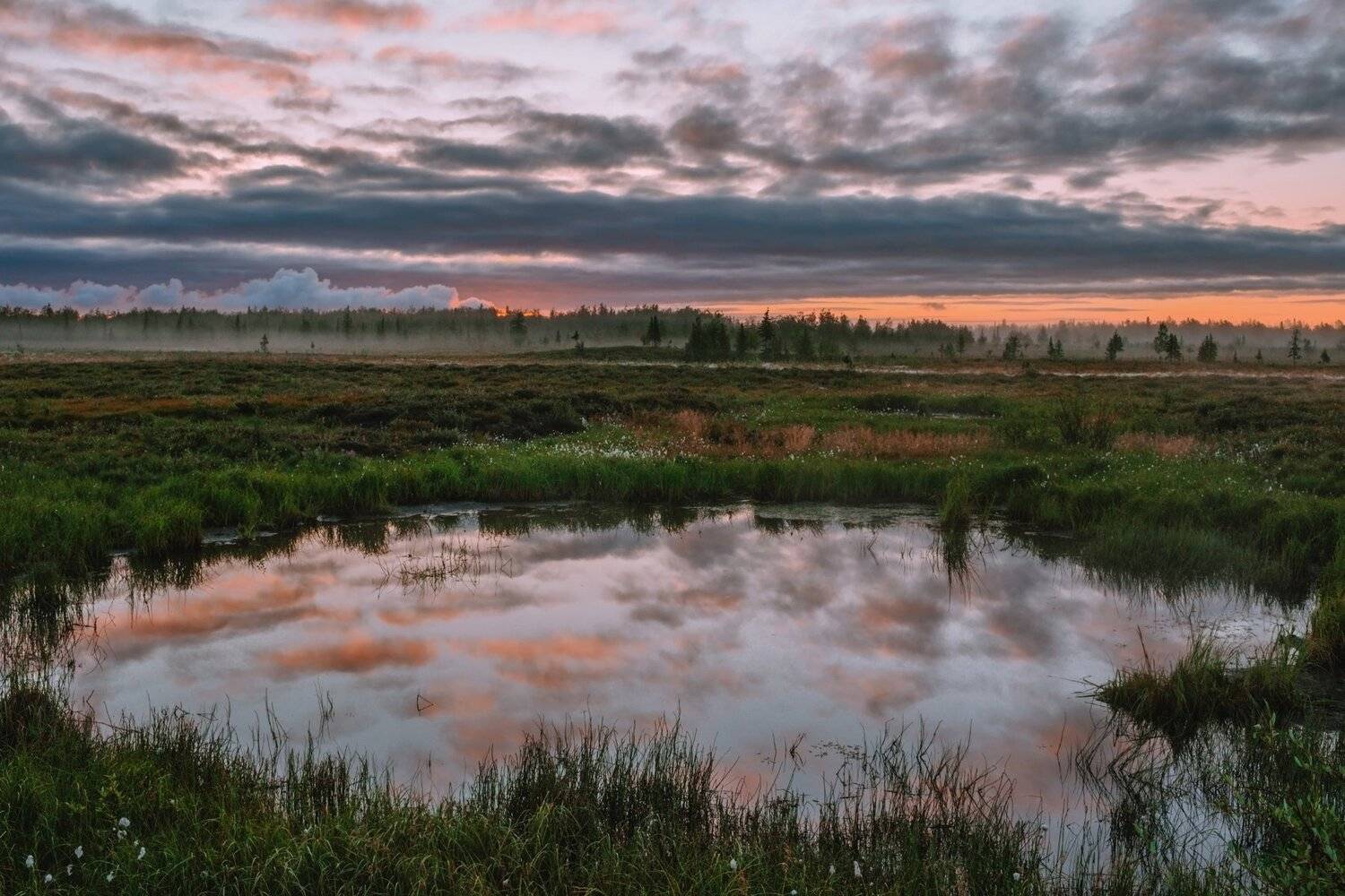 Август, Белые ночи, Полярный урал, Рассвет, Сибирь, Утро, Ямал, Ямал утро, Настя Братка