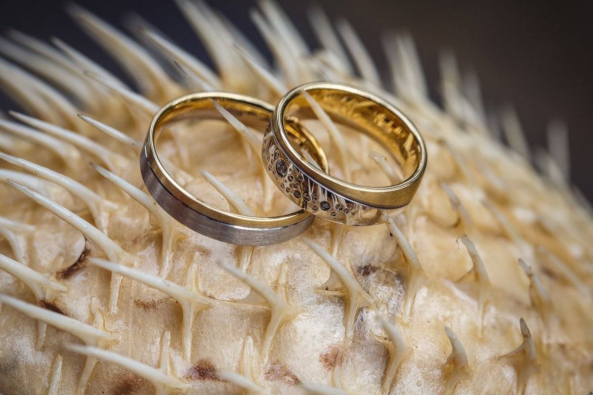 свадебная прогулка, свадьба, жених, невеста, любовь, love story, кольца, mdmmikle, Латвия, Рига, Михаил Маслов