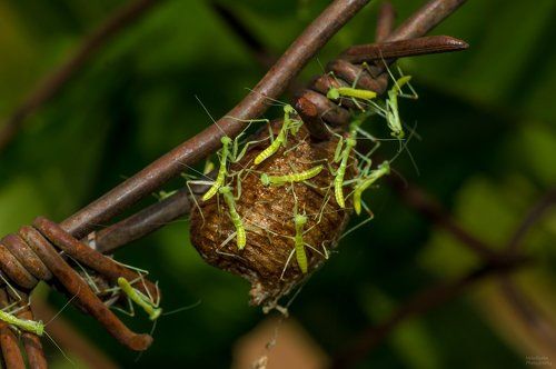 В новый мир