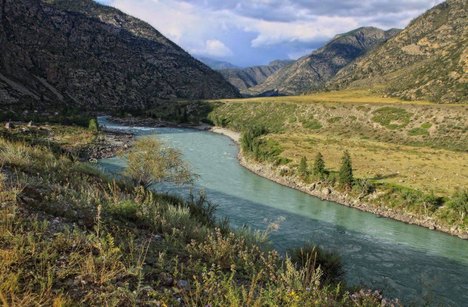 , Галина Хвостенко