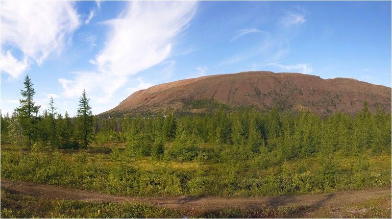 Летние зарисовки Таймыра фото превью