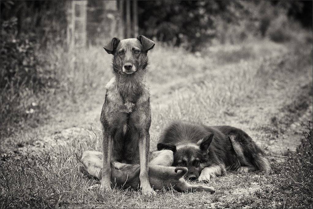 , Сергей Фудиненко