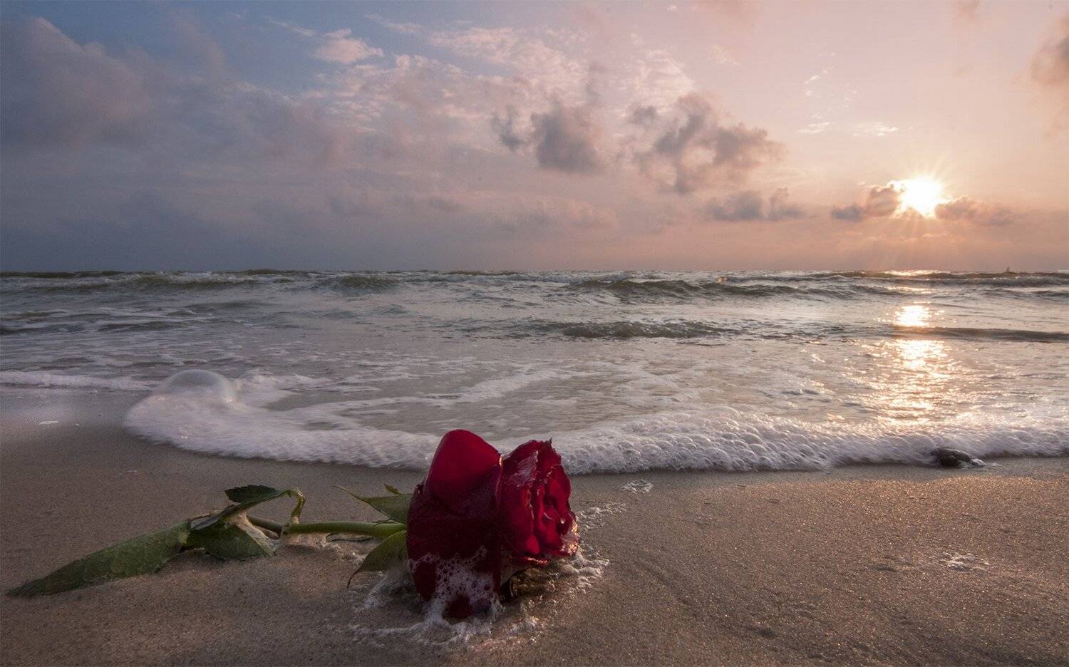 Sunset sea, Daiva Cirtautė