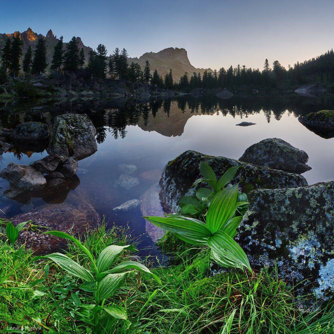 , Лена Стогова