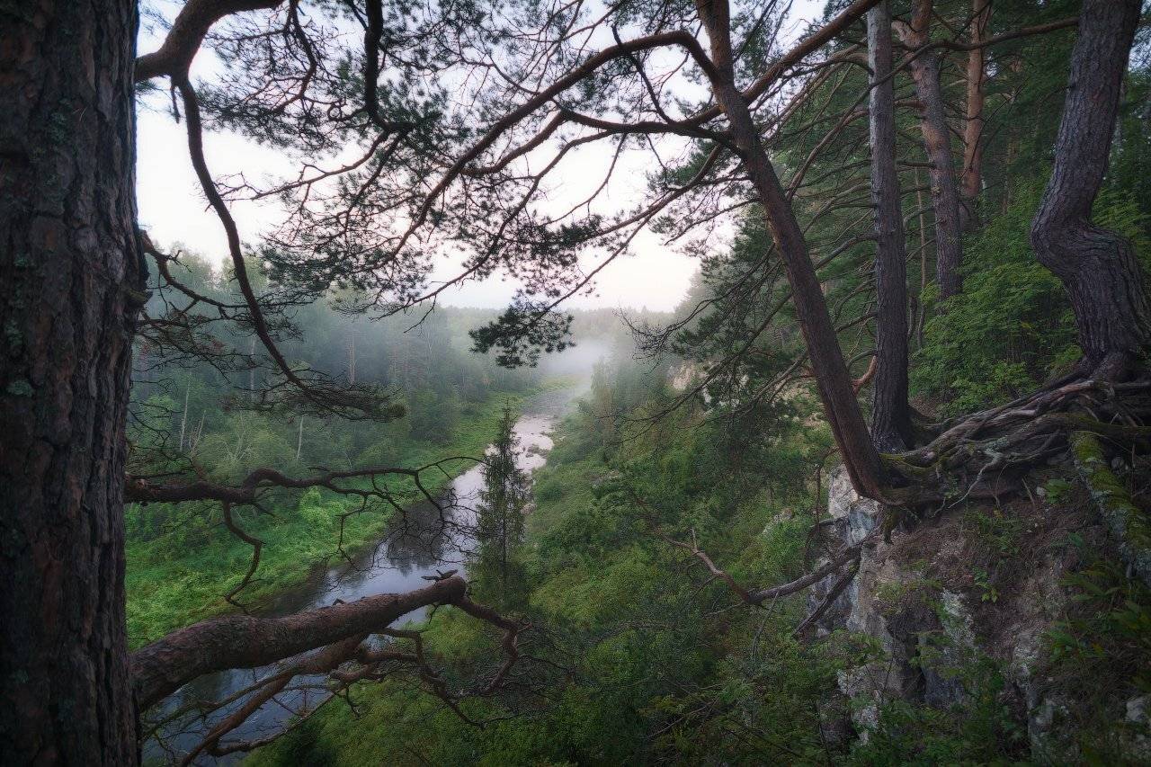 Landscape, Nikon, Nikon D7100, River, Rocks, Russia, Sigma10-20, Деревья, Маленькая_карелия, Обрыв, Пейзаж, Пейзажнаясъемка, Пейзажное фото, Река, Скалы, Туман, Утро, Жмак Евгений