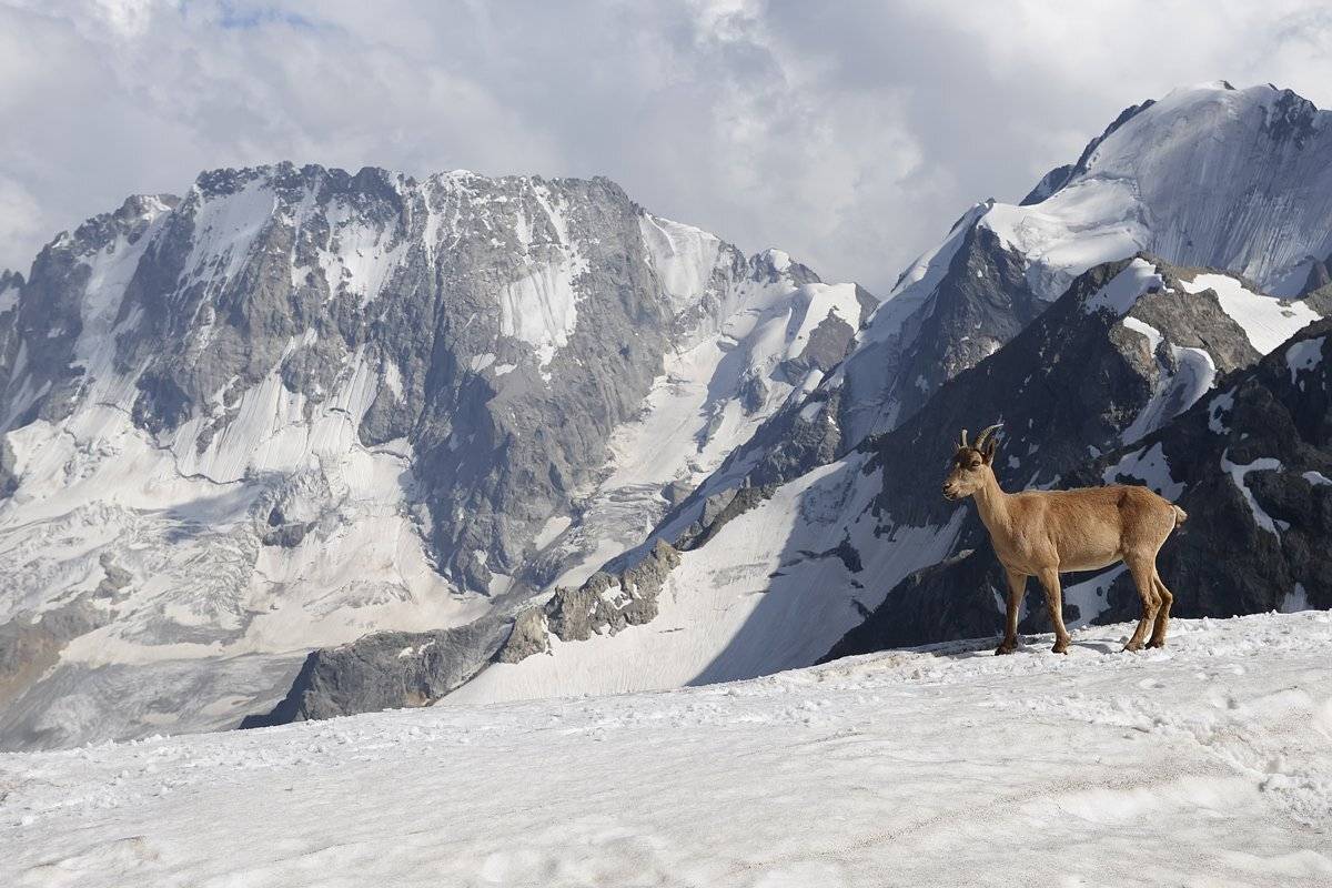 , Соболь Игорь