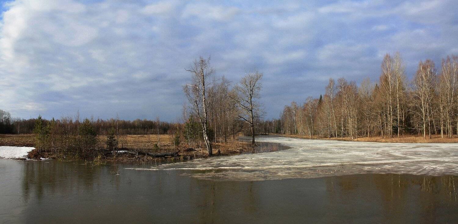 весна, Свистков Александр
