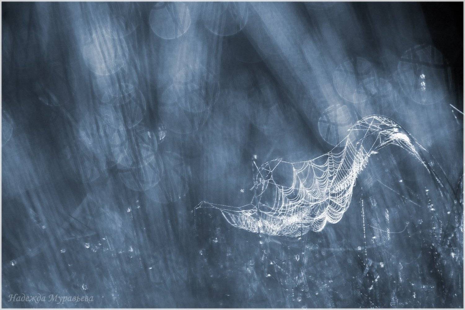 Ветра, Ждут, Паруса, Попутного, Надежда Муравьёва