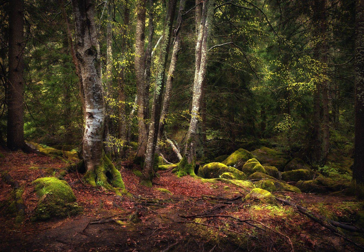 , Аделина Деветакова