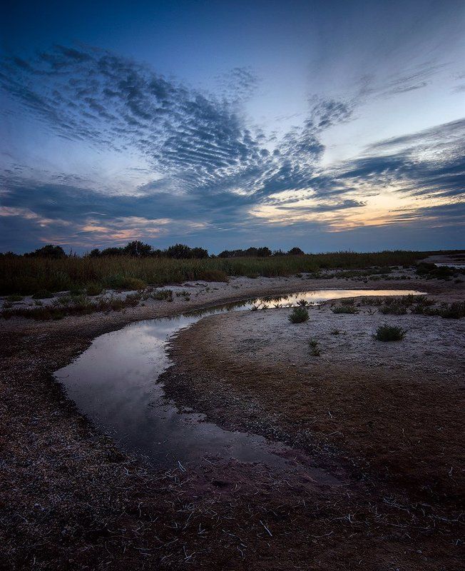 Небесная птаха фото превью