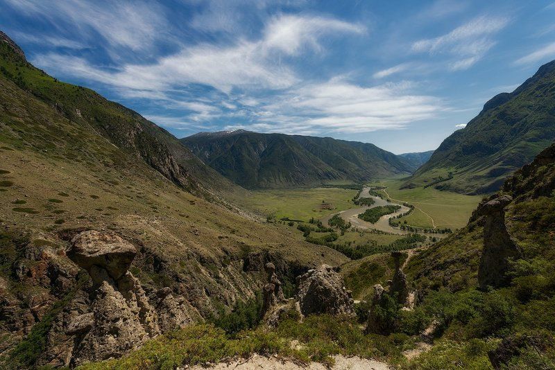 По грибы без лукошка фото превью