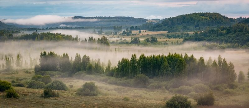 Утро туманное. фото превью