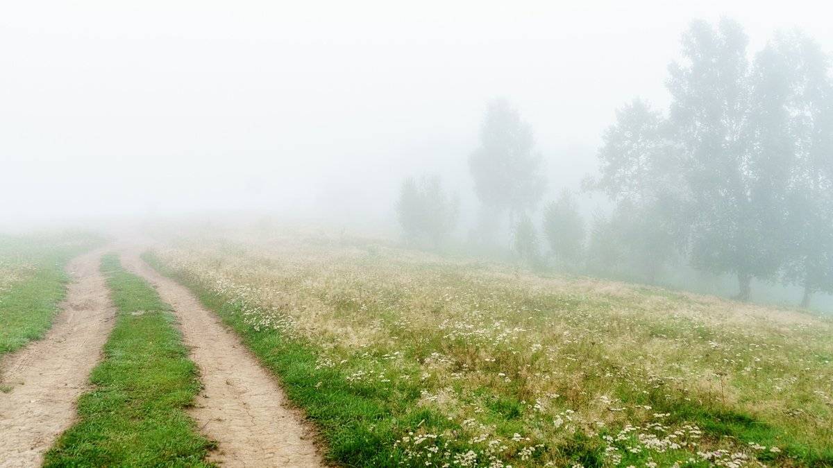 пейзаж, туман, утро , Александр Потапов