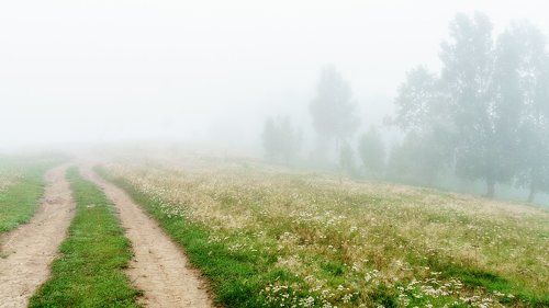 Туманное утро! 