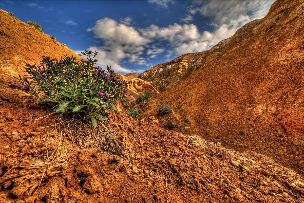 Алтай Кызыл Чин, Сергей Кузнецов
