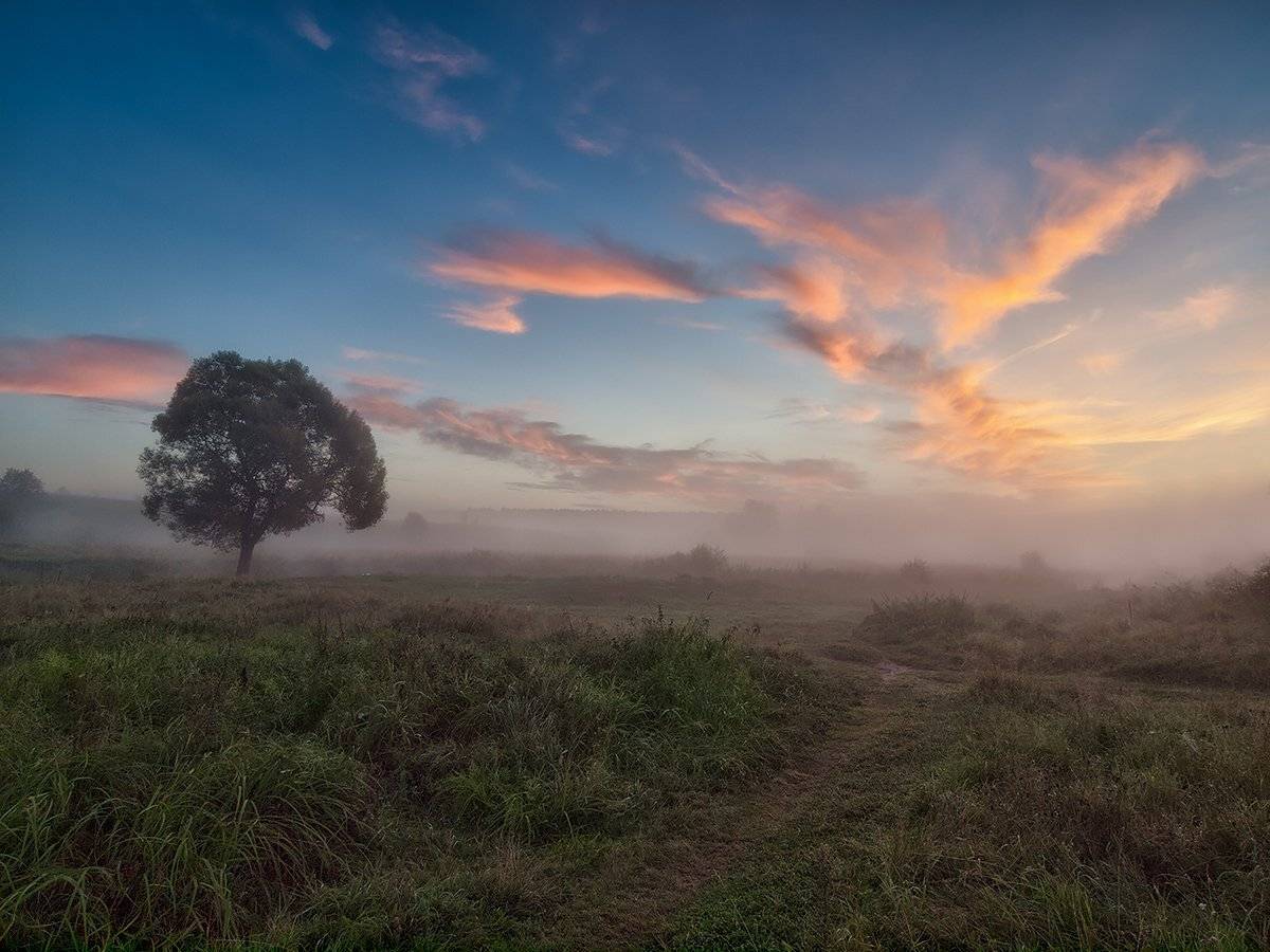 , Владимир Перепечаев