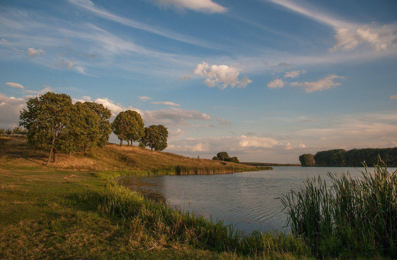 , Володимир Карчевський