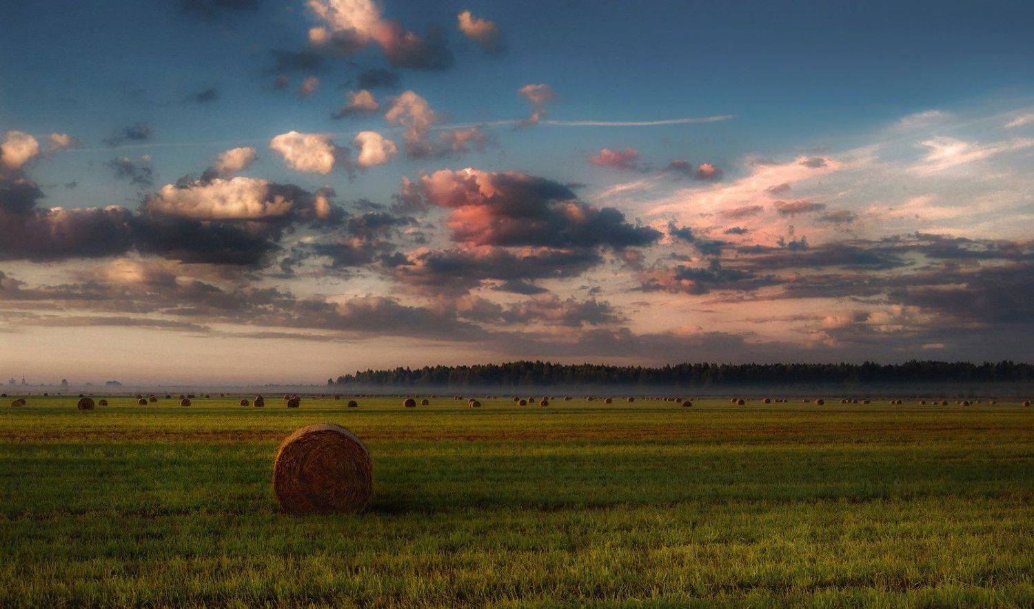 , Сергей (Bekr)