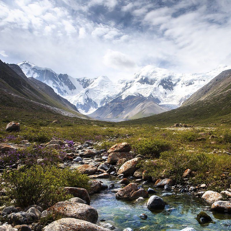горы, казахстан Центральный Тянь-Шань фото превью