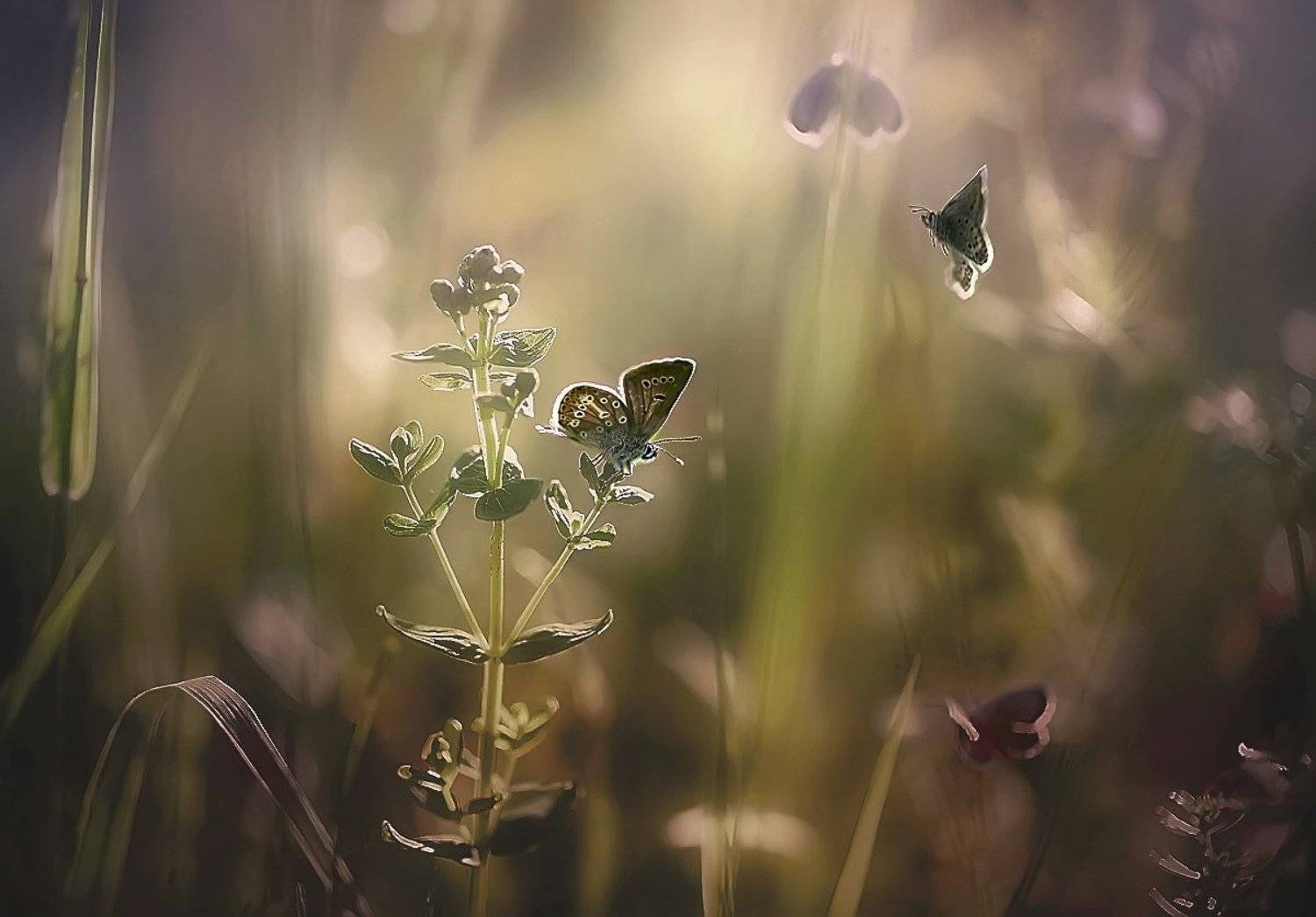 , Галина  Юняева