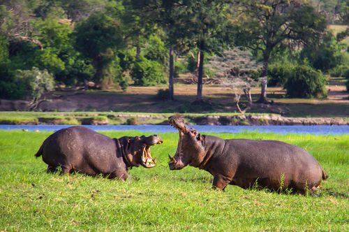 Битва титанов