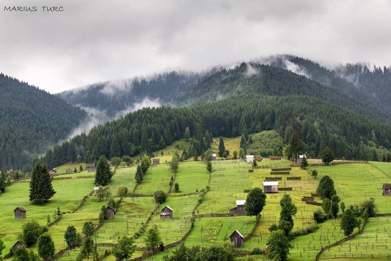 land,mist,hills,fog,trees,colors,morning, Marius Turc