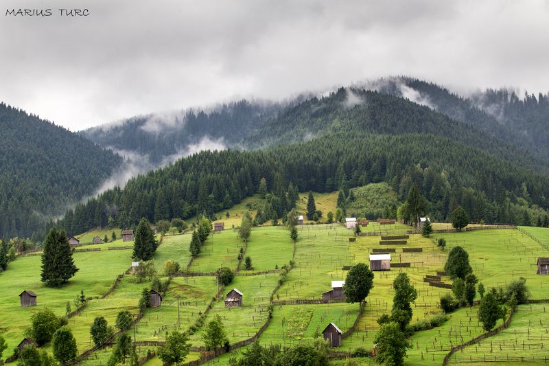 land,mist,hills,fog,trees,colors,morning Bucovina land фото превью